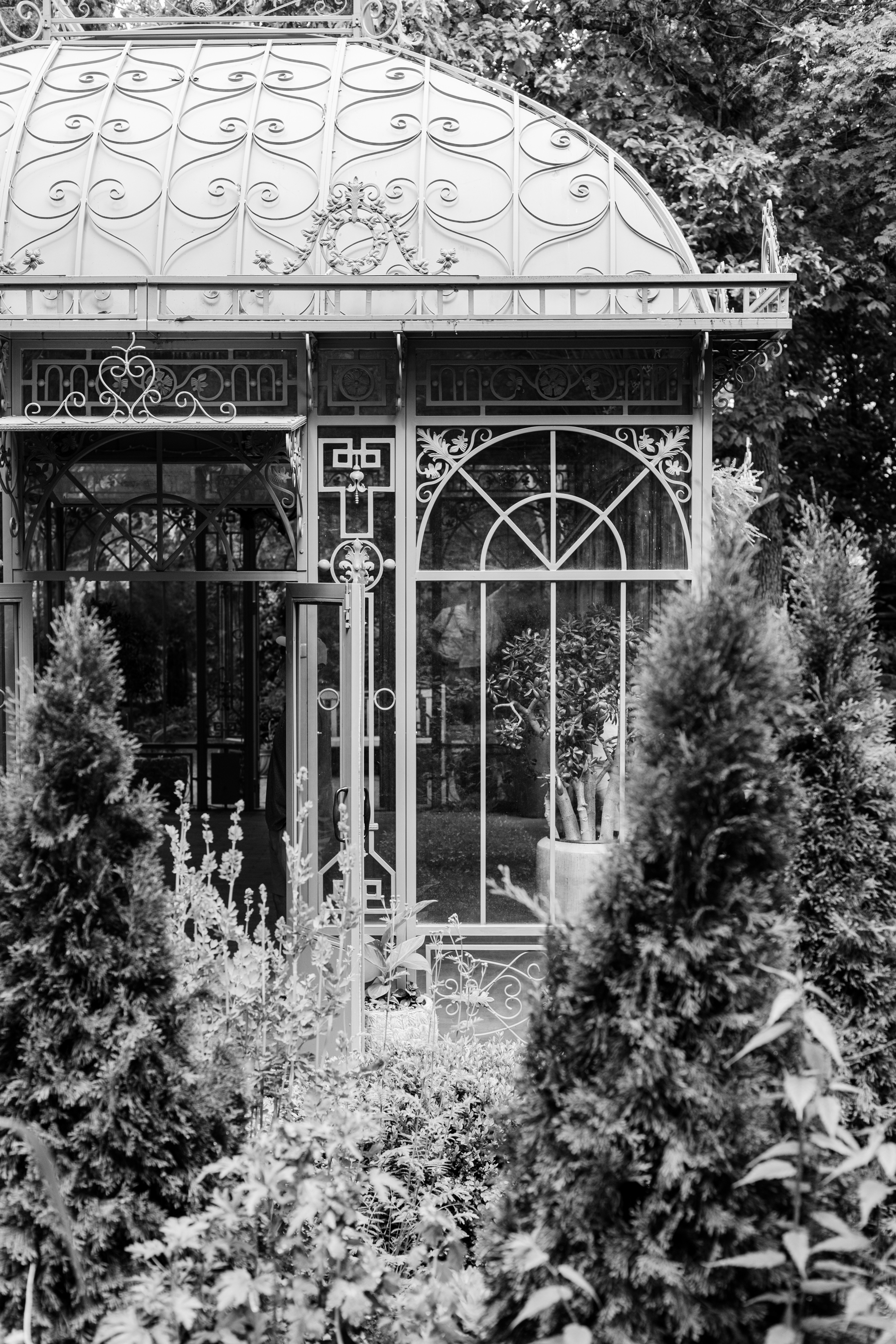 Denver Botanic Garden atrium photographed by Brenda Landrum