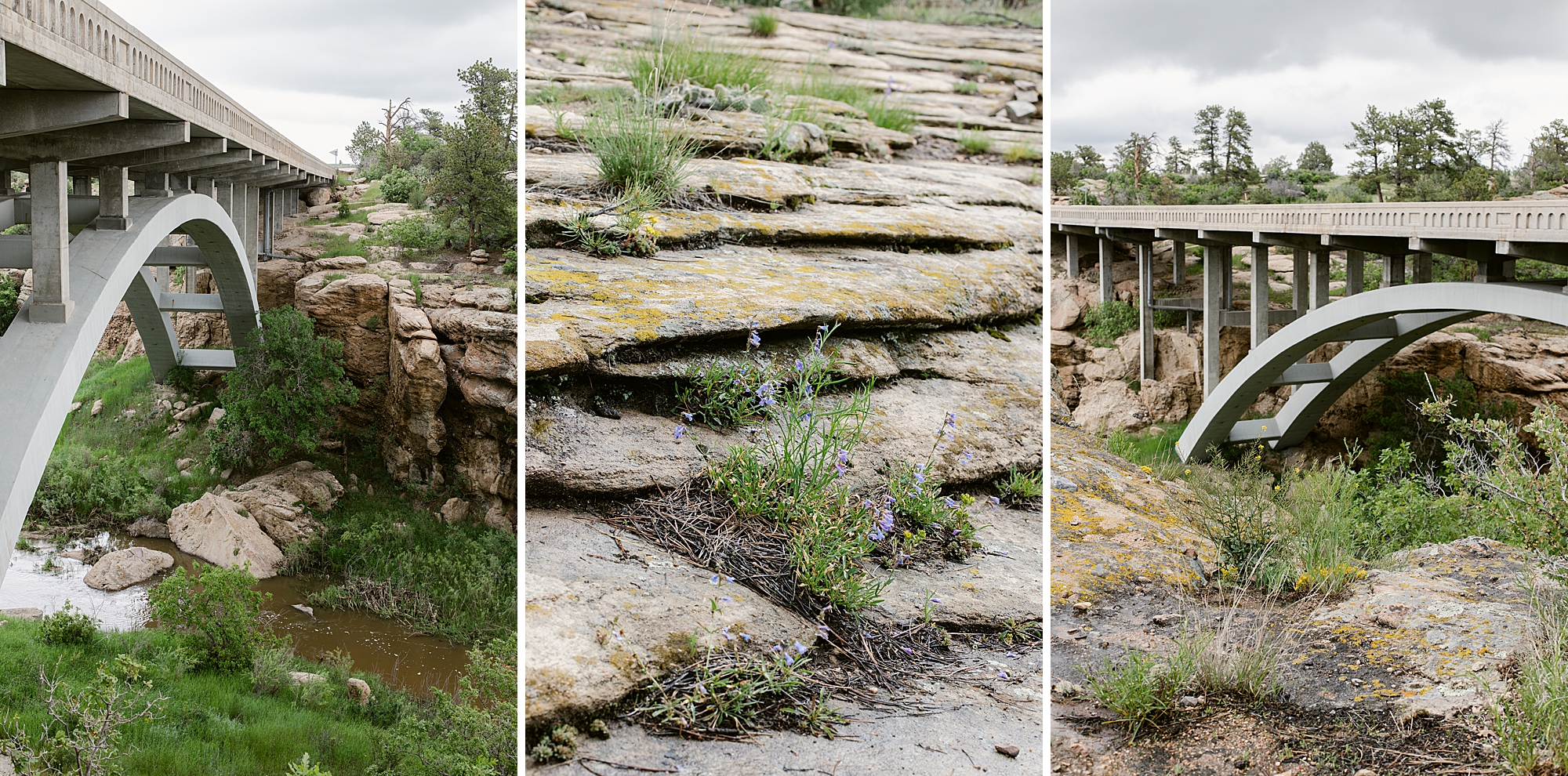 Castlewood Canyon State Park in Franktown, Colorado. East Canyon Trail June 2023